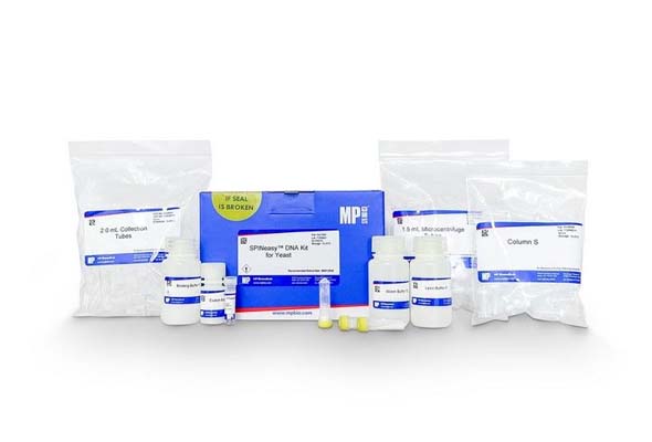DNA-kit-for-yeast.jpg