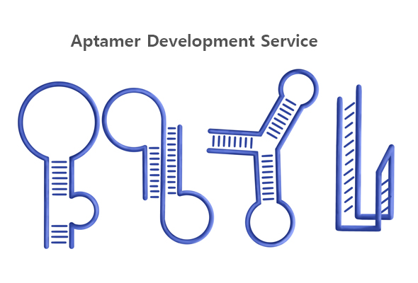 aptamer-service-1.jpg