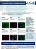 Astrocyte (ax0665) Information 이미지