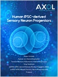 Sensory Neuron Progenitors Brochure 이미지