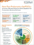 Pan-Prokaryote riboPOOL 이미지