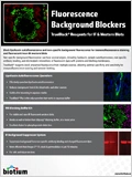 Fluorescence Background Blocking Reagents 이미지