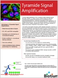 Tyramide Signal Amplification 이미지