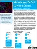 Membrane & Cell Surface Stains 이미지