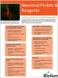 Neuronal Probes 이미지