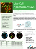 Live Cell Apoptosis Assays 이미지