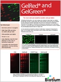 GelRed® & GelGreen® DNA Gel Stains 이미지