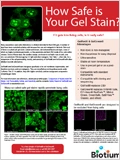 How Safe is Your Gel Stain? 이미지