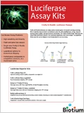 Luciferase Reporter Assays 이미지