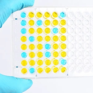 [GENSCRIPT] Tips for Successful ELISA kit Development