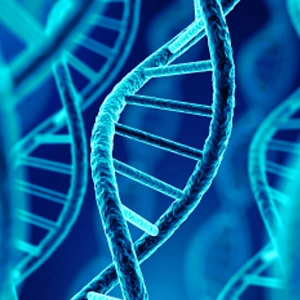 [GENSCRIPT] Metabolic pathway engineering using combinatorial DNA assembly