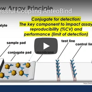 [ANTEOTECH] Successful Coupling AnteoBind-  Tips for Successful Coupling of Proteins to Particles Using AnteoBind™ Nano-coating technology for LFIA/POCT Assay Development.