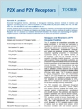 P2X and P2Y Receptors 이미지