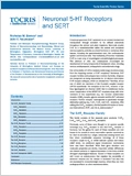 Neuronal 5-HT Receptors and SERT 이미지