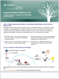 Signaling Pathway Reporter Assays 이미지