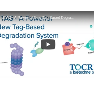 [TOCRIS] dTAG - A Powerful New Tag-Based Degradation System