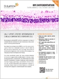 RPE differentiation on Biolaminin 521 이미지