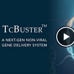 [B-MOGEN] TcBuster, A next-gen non-viral gene delivery system