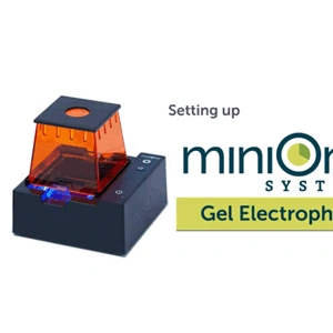 [MINIONE] Setting Up Your MiniOne® Electrophoresis System