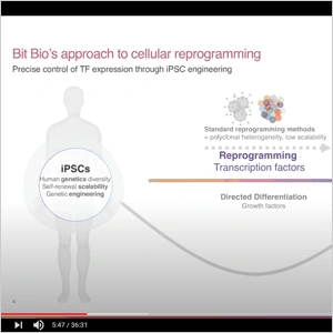 [BIT.BIO] Cellular reprogramming for the scalable production of human cells