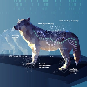 [SITOOL] RNAi screening을 위한 최적의 siRNA library