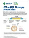 mRNA Infographic 이미지