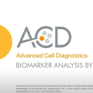 [ACD] RNAscope in situ Hybridization (ISH) Technology Overview