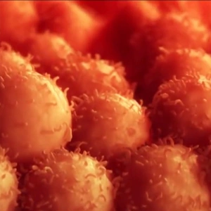 [ScaleReady] T cell expansion: G-Rex vs rocking/motion bioreactors 이미지