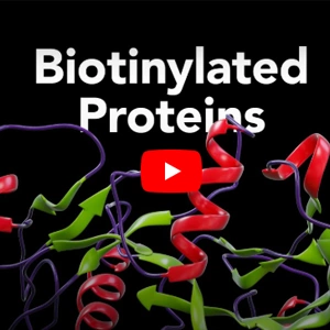 [R&D SYSTEMS] Biotinylated Proteins 이미지