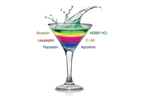 Protease Inhibitor Cocktail 이미지