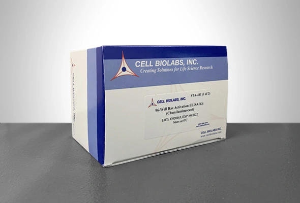 Small GTPase Activation Assay & Ras Activation ELISA Kit 이미지