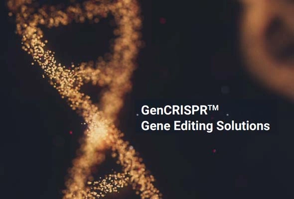 CRISPR Cas9 Nuclease 이미지