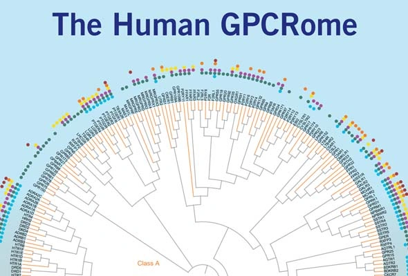 GPCR 분석 제품 선택가이드 | GPCR Product Table 이미지