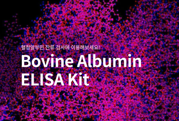 Bovine Serum Albumin (BSA) ELISA Kit 이미지