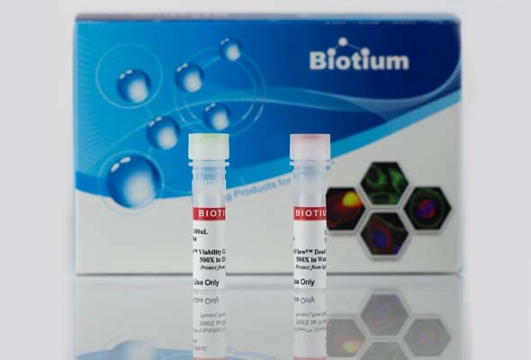 BactoView™ Viability Kits 이미지