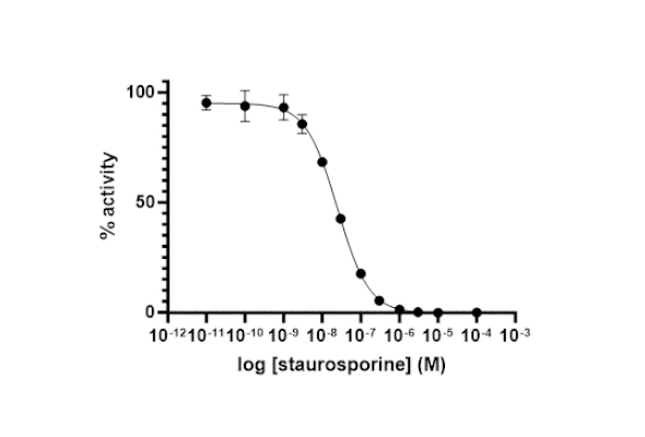 HitHunter Kinase Enzyme Activity Assay Kits 이미지