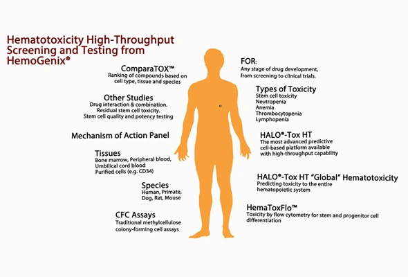 Hematotoxicity / bone marrow toxicity 분석서비스 (혈액독성검사) 이미지