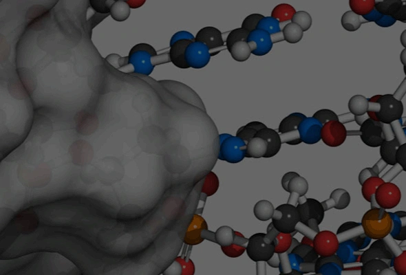 Topoisomerase Assay Kits 이미지