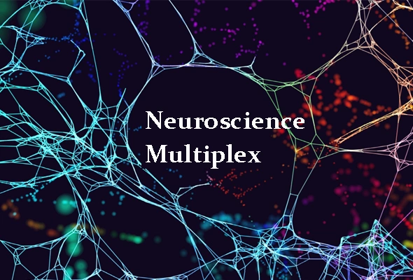 Neuroscience Multiplex 분석서비스 이미지