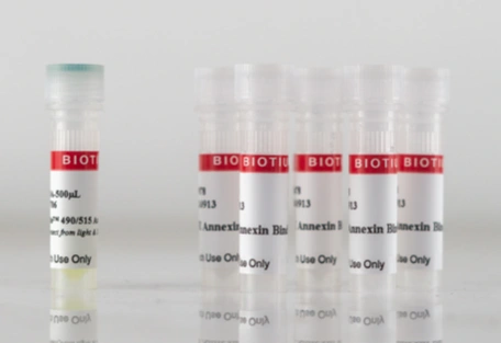 ExoBrite™ EV Stain Enhancer 이미지