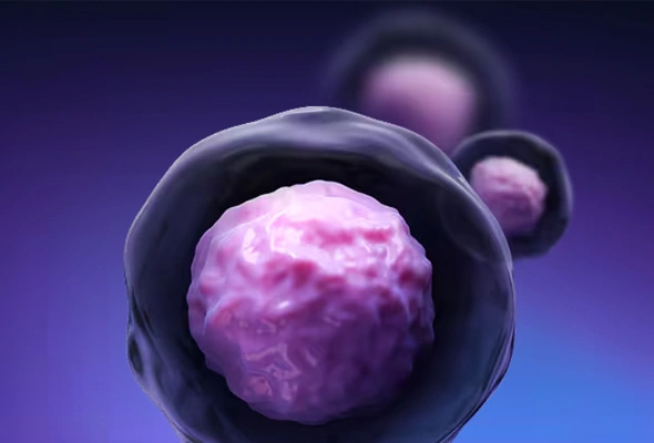 Regenerative Medicine Workflow에 따른 추천제품 이미지