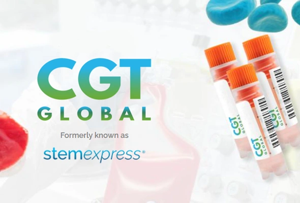 CGT Global 면역세포 한눈에 보기 이미지