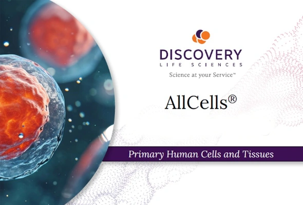 AllCells 면역세포 한눈에 보기 이미지