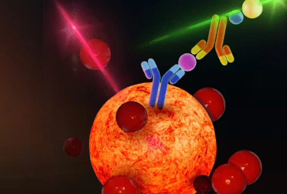 R&D Systems의 Luminex Assays 한눈에 보기 이미지