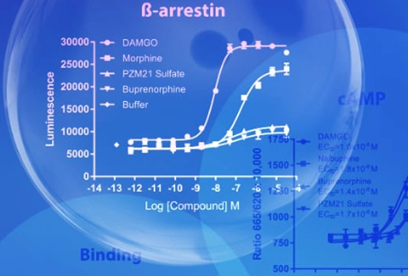 MULTISCREEN GPCR 칼슘, cAMP, beta-arrestin assay kit 이미지