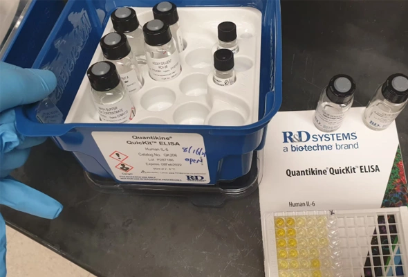 Quantikine® QuicKit™ ELISA Kit 이미지
