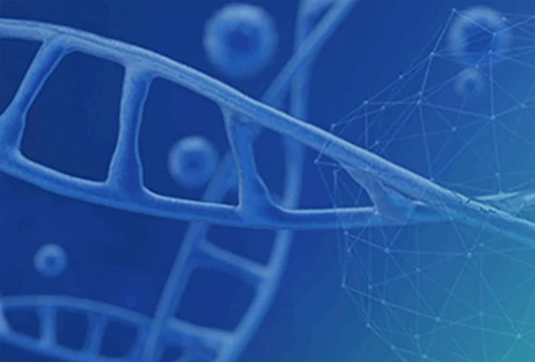 GMP AAV Plasmids 이미지