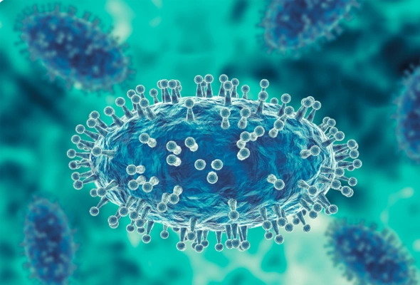 GMP 등급 Oncolytic Virus 제작서비스 이미지