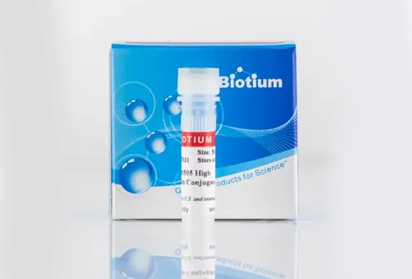 F-actin 염색을 위한 ActinBrite™ High Affinity Phalloidin Conjugates 이미지