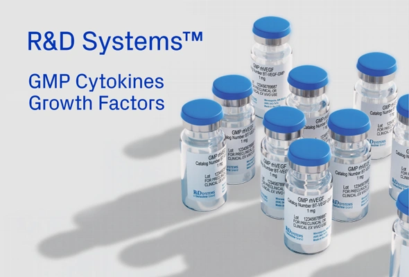 [R&D SYSTEMS] Human GMP proteins 이미지